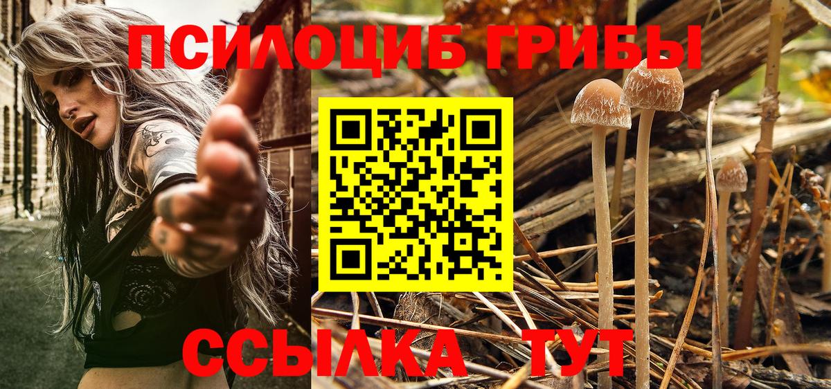 Галлюциногенные грибы Psilocybe  Вход с VPN  Урус-Мартан  Псилоцибиновые грибы Magic Shrooms 